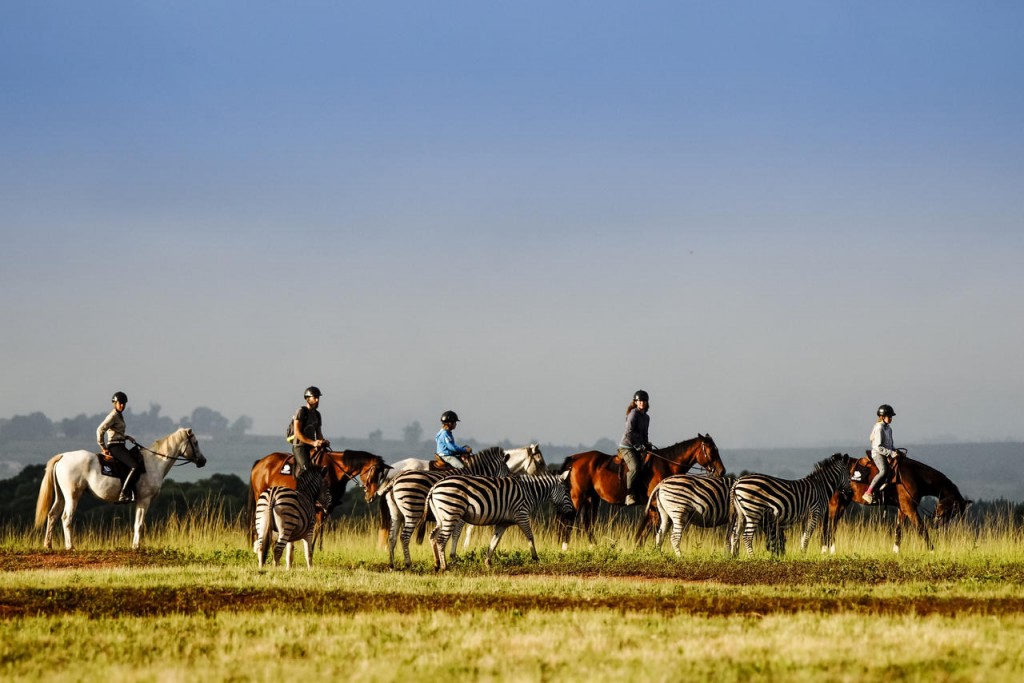 swaziland-horseback-safari