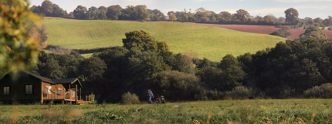 Lantern & Larks Kittisford Barton site in Somerset 