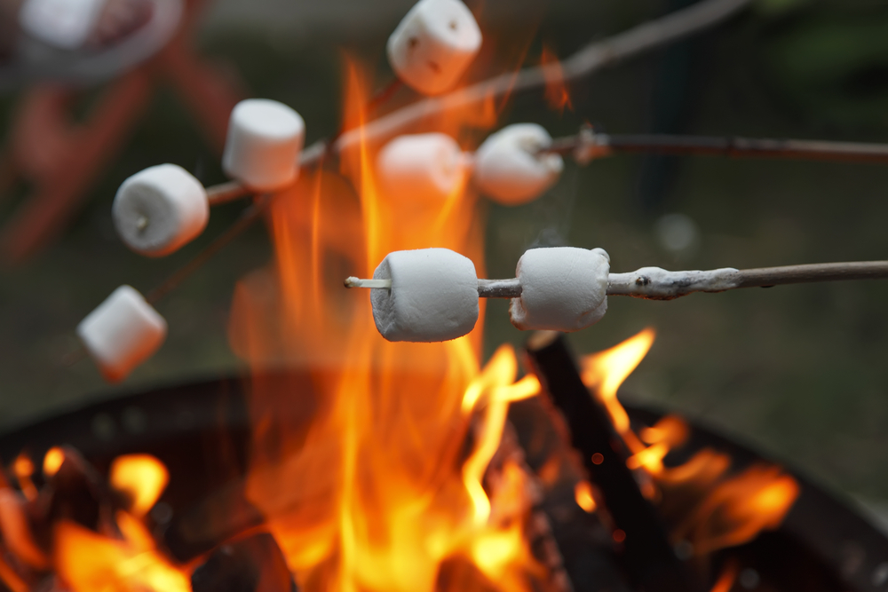 Toasting Marshmallows image courtesy of Shutterstock